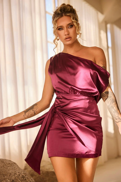 Still Lovers Mini Dress - Plum