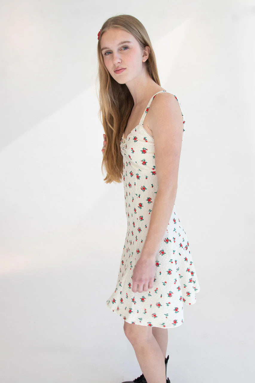 Rose Print Fit & Flare Mini Dress