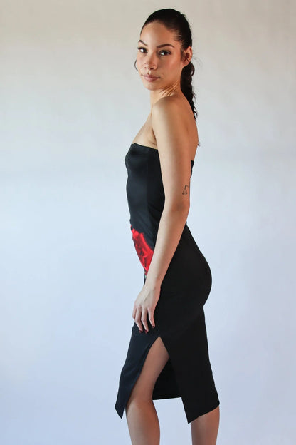Rose Graphic Mesh Midi Tube Dress