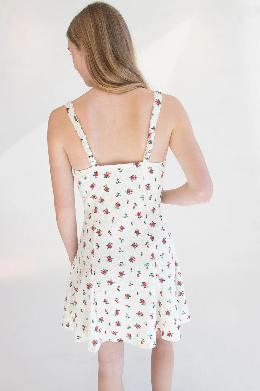 Rose Print Fit & Flare Mini Dress