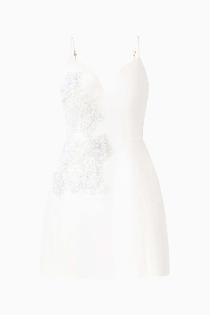 Stella Tulip Mini Dress in White